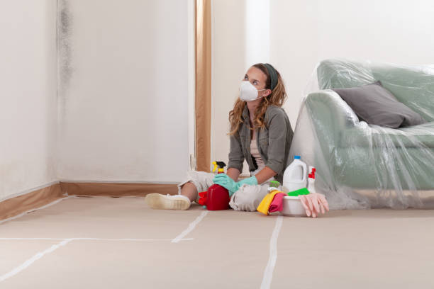 Trusted Basement Mold Remediation service in McClure, PA - Cheap Mold Removal